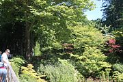 49 - Butchard Gardens  - IMG_1643